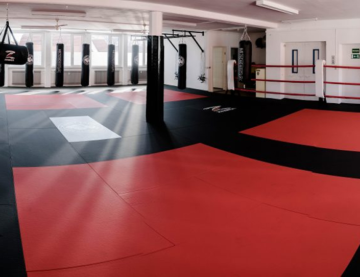 FightPoint Gym Kampfsportbereich