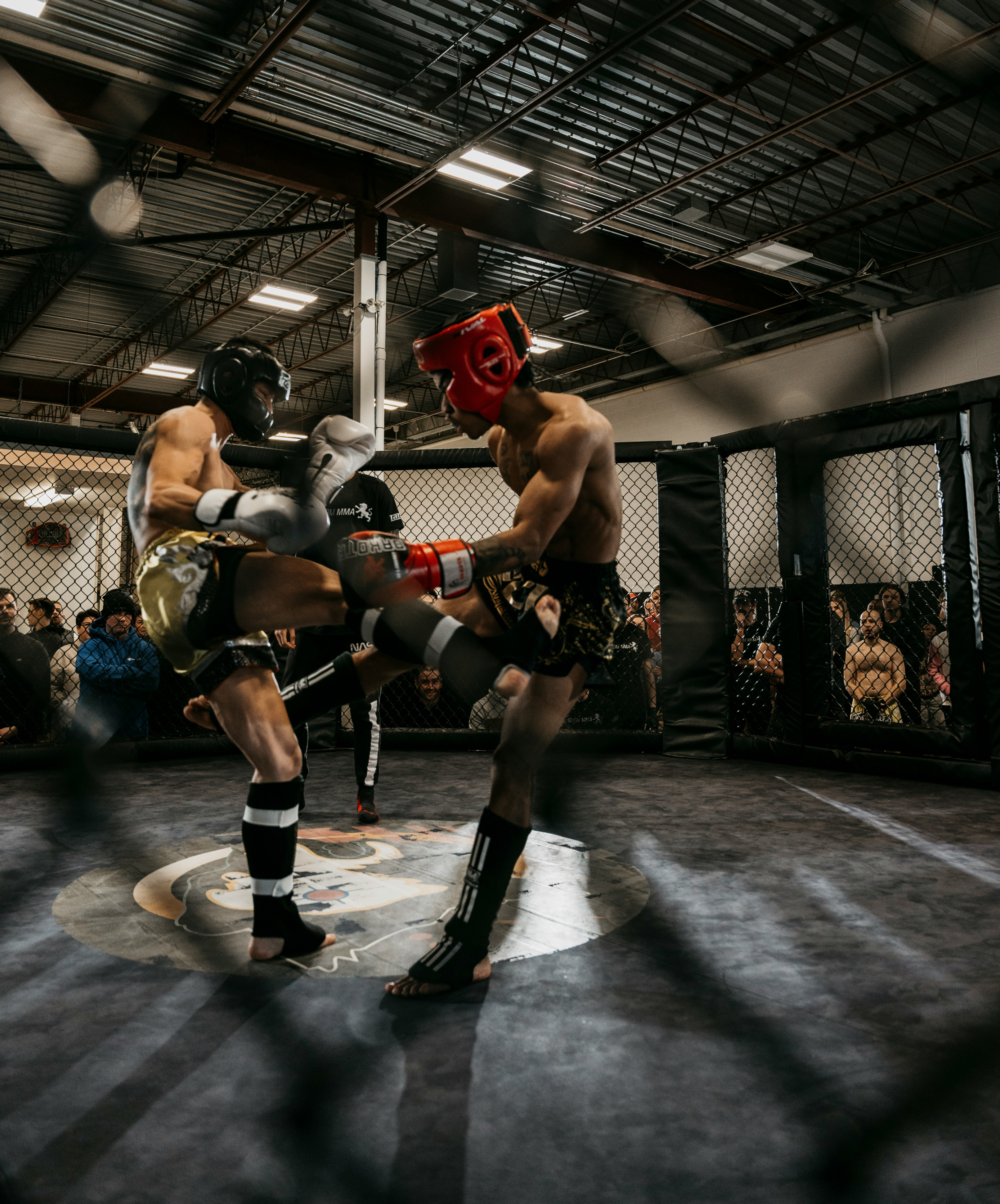 Muay Thai Training